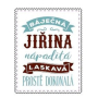 Albi Skladacia taška na zips do kabelky s menom Jiřina 42 x 41 x 11 cm
