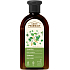 Green Pharmacy šampón proti lupinám s brezou a ricínovým olejom 350 ml