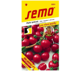 Semo Tomatoes baby koktailové paradajky veľmi skorý hybrid Bejbino F1