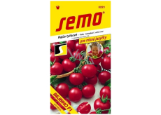 Semo Tomatoes baby koktailové paradajky veľmi skorý hybrid Bejbino F1