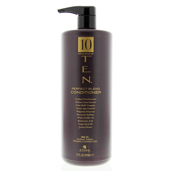 Alterna TEN Perfect Blend kondicionér pre okamžité zvlhčenie dehydrovaných vlasov 920 ml