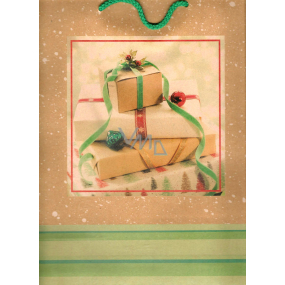 Ditipo Darčeková Kraftová taška 27 x 12 x 37 cm darčeky 30