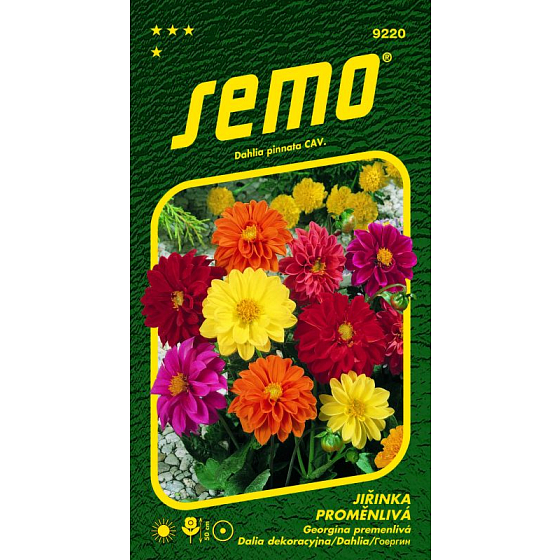 Semo Jiřinka premenlivá kompakt zmes 1 g