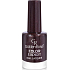 Golden Rose Color Expert lak na nechty 32 10,2 ml