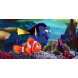 Disney® Nemo, Dory Disney® Nemo, Dory