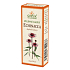 Grešík Echinacea kvapky na podporu prirodzenej obranyschopnosti 50 ml