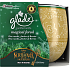 Glade Magical Forest - borovicové ihličie, jantár a lesné ovocie vonná sviečka v skle, doba horenia až 30 hodín 120 g