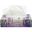 Big Soft Deluxe kozmetické obrúsky 2 vrstvové 170 kusov