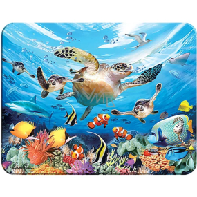 Prime3D magnet - Morské korytnačky 9 x 7 cm