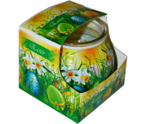 Admit Easter Green dekoratívne aromatická sviečka v skle 80 g
