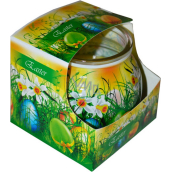 Admit Easter Green dekoratívne aromatická sviečka v skle 80 g