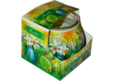 Admit Easter Green dekoratívne aromatická sviečka v skle 80 g