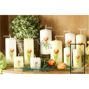 Lima Kvetina Tulipán vonná sviečka slonová kosť s obtiskom tulipán valec 40 x 90 mm 1 kus