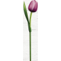 Bohemia Gifts Drevený tulipán fialovo-biely 34 cm