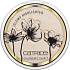 Catrice Glow Patrol Glow Highlighter rozjasňovač C01 Muse 8,5 g