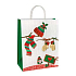 Ditipo Darčeková papierová taška EKO 22 x 10 x 29 cm biela čiapka, šál, rukavice