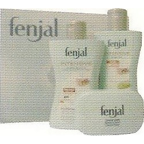 Fenjal Intensive 3 sprchový gél 200 ml + telové mlieko 200 ml + mydlo 100 g, kozmetická sada