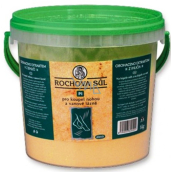 Drutep Rochova soľ PI 1 kg vedro