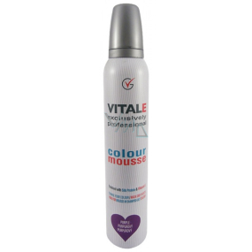 Vitale Exclusively Professional farbiace penové tužidlo s vitamínom E Purple - Purpurový 200 ml