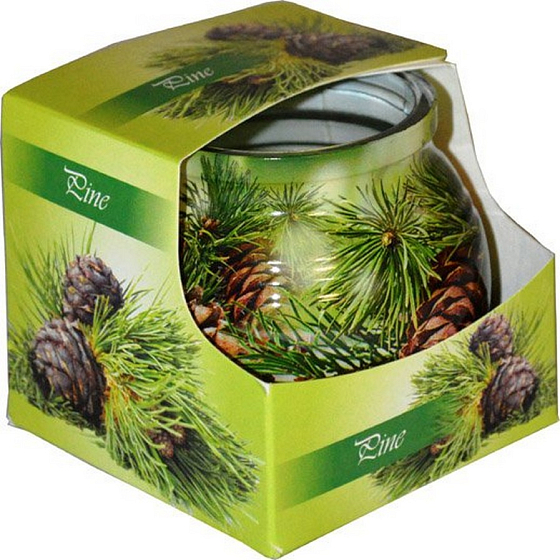 Admit Pine dekoratívne aromatická sviečka v skle 80 g