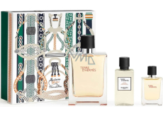 Hermes Terre D Hermes toaletná voda 100 ml + toaletná voda 12,5 ml + voda po holení 40 ml, darčeková sada pre mužov