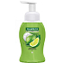 Palmolive Magic Softness Lemon & Mint tekutá pena na umývanie rúk 250 ml dávkovač 12 ks kartón