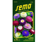 Semo Astra Čínska Pompon zmes 0,5 g