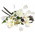 Compagnia Delle Indie 19 Lily of the Valley and White Musks parfumovaná voda pre ženy 75 ml