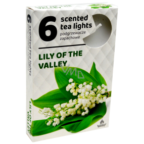 Čajové sviečky Lily of the Valley s vôňou čajových sviečok 6 kusov
