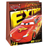 Ditipo Darčeková papierová taška 26,4 x 12 x 32,4 cm Disney Cars, Extreme