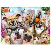 Prime3D pohľadnice - Zvierací Selfie 16 x 12 cm