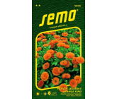 Semo Nechtík lekársky Orange King oranžový 1 g