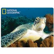 Prime3D pohľadnice - Vodné korytnačka 16 x 12 cm