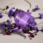 Dolce & Gabbana Dolce Violet toaletná voda pre ženy 50 ml