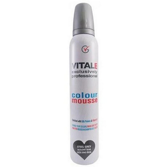 Vitale Exclusively Professional farbiace penové tužidlo s vitamínom E Steel Grey - Oceľovo sivá 200 ml