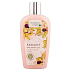 Bohemia Gifts Castanum Extrakt z gaštanu konského regeneračný sprchový gél 250 ml