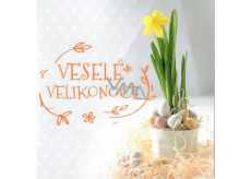 Nekupto Blahoželanie k Veľkej noci Veselú Veľkú noc Slnečné jarné dni 100 x 100 mm 3556 XI