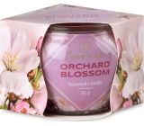 Emóciám Dekor Orchard Blossom - Ovocný kvet vonná sviečka sklo 70 x 62 mm 85 g