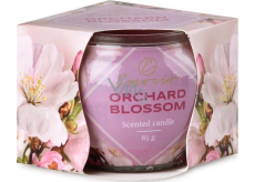 Emóciám Dekor Orchard Blossom - Ovocný kvet vonná sviečka sklo 70 x 62 mm 85 g