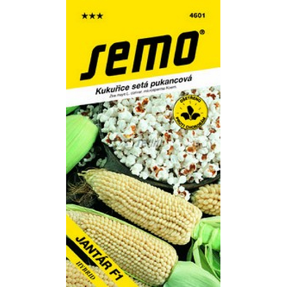 Semo Kukurica siata pukancová Jantár 6 g