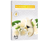 Bispol Aura Blooming Jasmine - Kvitnúci jazmín vonné čajové sviečky 6 kusov