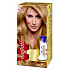 Wella Wellaton penová farba na vlasy 8/3 Svetlá zlatá blond