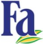 Fa Cream & Oil Hodváb a Magnólia kúpeľová pena 500 m