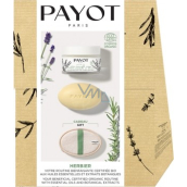 Payot Box Herbier Creme Universelle BIO univerzálny pleťový krém s levanduľovým olejom 50 ml + tuhý výživný krém na telo a tvár s rozmarínovým esenciálnym olejom 1 ks + lufové rukavice 1 ks, kozmetická sada 2022