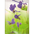 Nekupto Darčeková papierová taška 32,5 x 26 x 13 cm Fialky 1 kus 772 50 BL