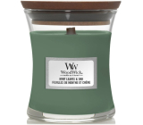 WoodWick Mint Leaves & Oak vonná sviečka s dreveným knôtom a skleneným viečkom malá 85 g