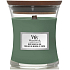 WoodWick Mint Leaves & Oak vonná sviečka s dreveným knôtom a skleneným viečkom malá 85 g