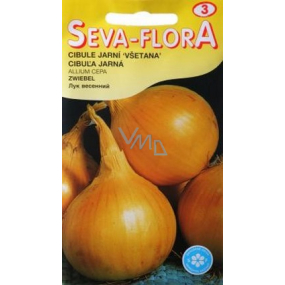 Seva - Flora Cibuľa jarná Všetana 2 g