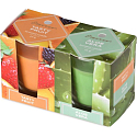 Emóciám Tasty Fruit & Aloe Vera vonná sviečka sklo 52 x 65 mm 2 kusy v krabičke