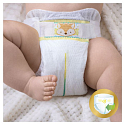 Pampers Premium Care 2 Mini 3-6 kg jednorazové plienky 80 kusov